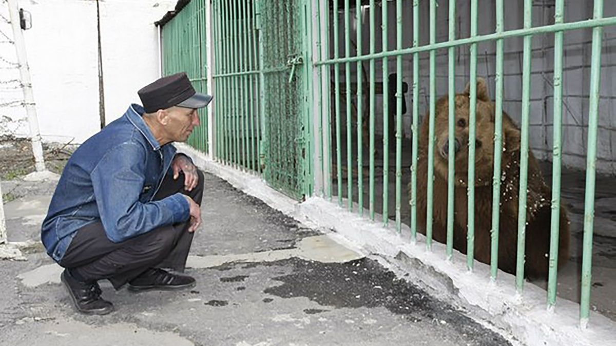 Bizarní případ medvědice odsouzené na doživotí pokračuje